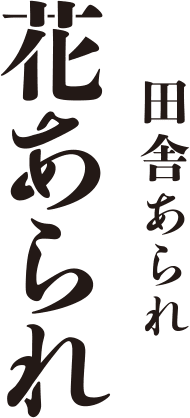 田舎あられ 花あられ